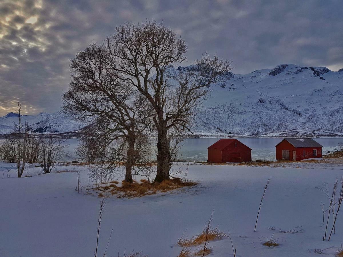 Pilan Lodge Lofoten Vestpollen Екстер'єр фото