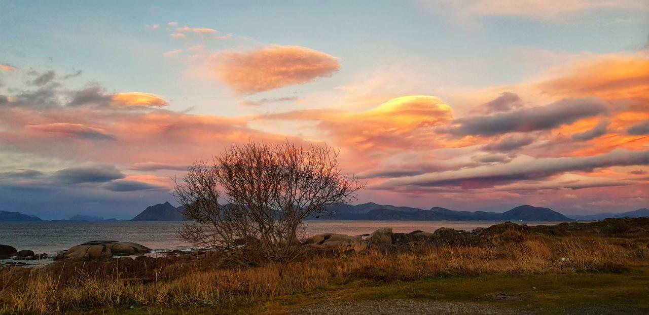 Pilan Lodge Lofoten Vestpollen Екстер'єр фото
